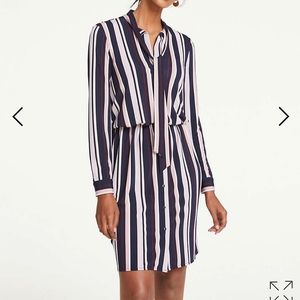 Ann Taylor XS tie neck shirt dress